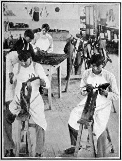 Saddles: American Indians. The peaceful extinction of the red indian