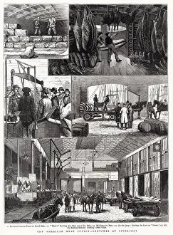 1877: American Meat Supply 1877