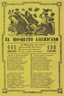 Broadside: The American mosquito