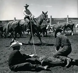 Tightly: American Old West/Cowboys