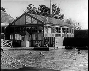 Sanatorium: American People Swimming at a Sanatorium