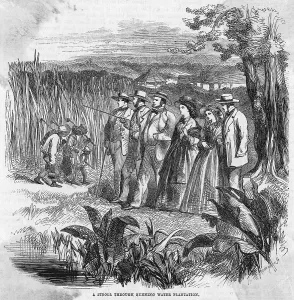 Trudge: AN AMERICAN PLANTATION
