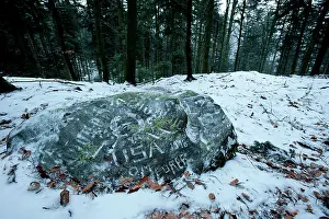 Maur: American rock carving, Vosges forest