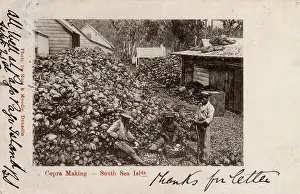 Copra: American Samoa - Pago Pago - production of copra