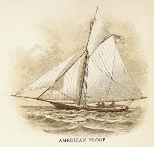 Sloop: American Sloop