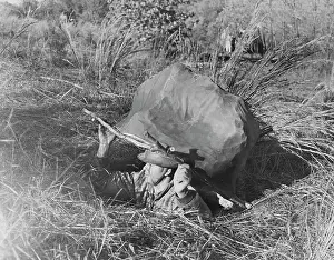 Boulder: American soldier emerging from a foxhole concealed