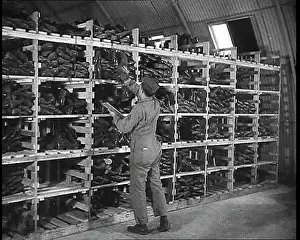Logging: An American Store Keeper Logging Stocks Of