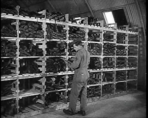 Logging: An American Store Keeper Logging Stocks Of