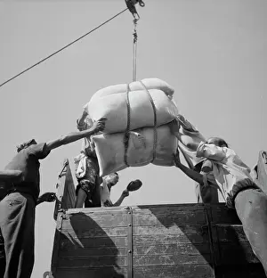 Guidance: American white flour is loaded onto trucks