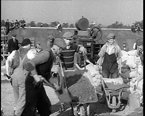 Placing: American Workers Building An Airfield, Pouring