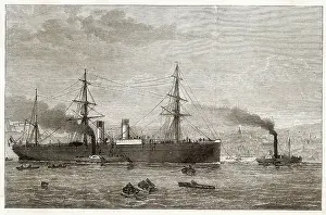 Tugs: AMERIQUE STEAMSHIP