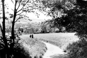 Parsonage: Amersham, from Parsonage Woods 1958