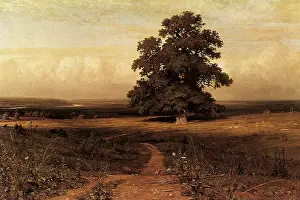 Vast: Amidst the Spreading Vale