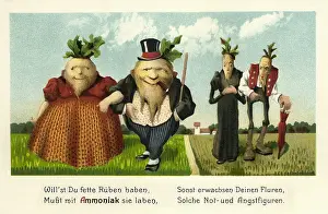 Profits: Ammonia fertilizer advert