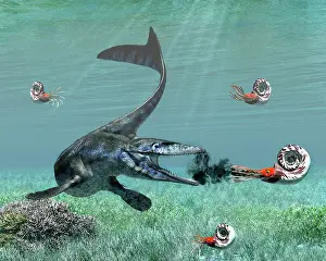 Defending: An ammonite shoots ink to try to make an escape