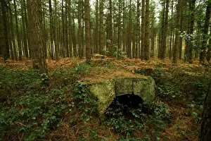Menin: Ammunition Bunker in Polygon Wood: