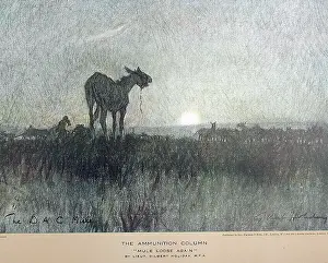 Messes: The Ammunition Column Mule loose again
