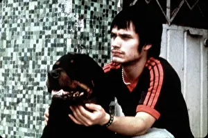 Amores: Amores Perros
