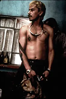 Sanchez: Amores Perros