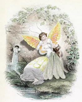Butterflys: AMOROUS LEPIDOPTERA