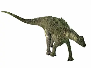 Spiked: Ampelosaurus armored dinosaur, on white background