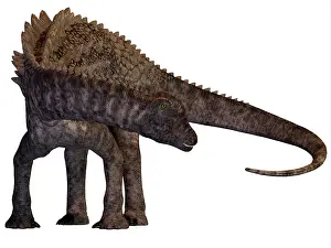 Ampelosaurus: Ampelosaurus dinosaur
