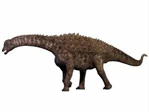 Ampelosaurus: Ampelosaurus dinosaur