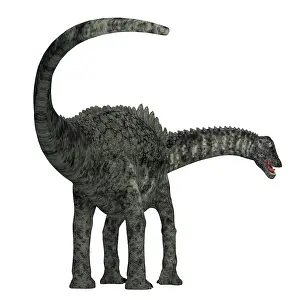Spiked: Ampelosaurus dinosaur, rear view