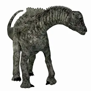 Ampelosaurus: Ampelosaurus dinosaur, front view