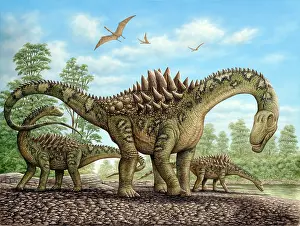 Ampelosaurus: Ampelosaurus dinosaurs grazing on the shoreline