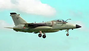 Gruppo: AMX A-11A MM7115 - 2-12