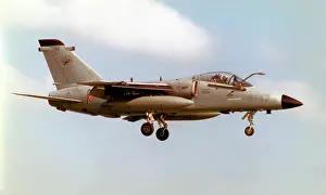 Gruppo: AMX A-11A MM7115 - 2-12