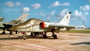 Militare: AMX International AMX