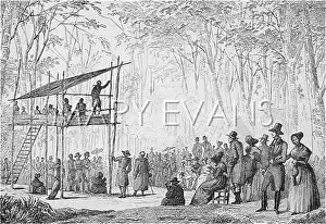 Treehouse: ANABAPTISTS IN AMERICA