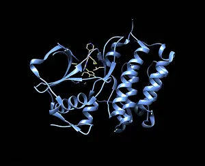 Genes: Anaplastic Lymphoma Kinase with Crizotinib