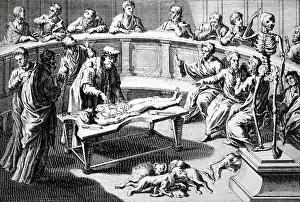 Anatomical: Anatomical demonstration