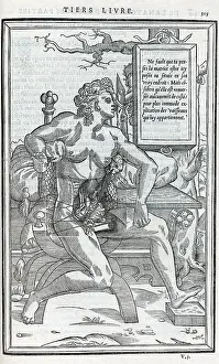 Dissections: Anatomical drawings; dissection