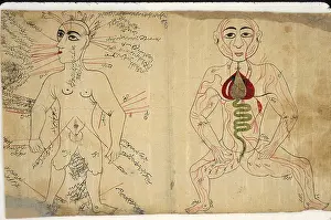Bloodletting: Two anatomical drawings from a Persian-language ?