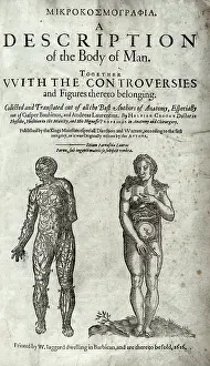 Laurens: Two anatomical figures, one male and the other female