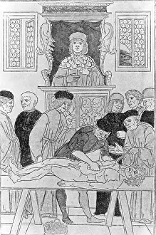 Lecturer: Anatomical lecture, 1493