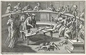 Unwanted: ANATOMICAL THEATRE C16