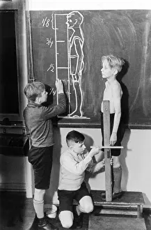 Proportion: ANATOMY LESSON