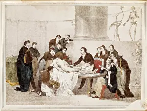 Anatomic: Anatomy lesson at the Sorbonne University in