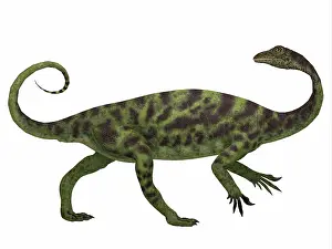 Talon: Anchisaurus dinosaur, side profile