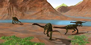 Alertness: Anchisaurus dinosaurs gather together to keep