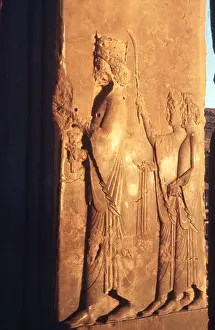 Apadana: Ancient Carvings