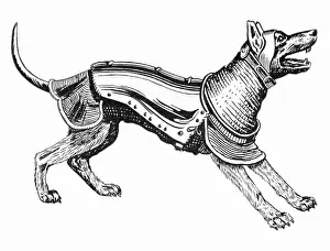 Ancient Dog Armour - 1