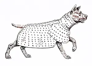 Slings: ANCIENT DOG ARMOUR - 2
