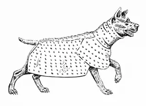 Slings: ANCIENT DOG ARMOUR - 2