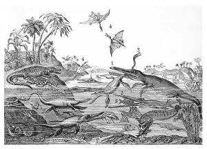 Dorsetshire: ANCIENT DORSETSHIRE